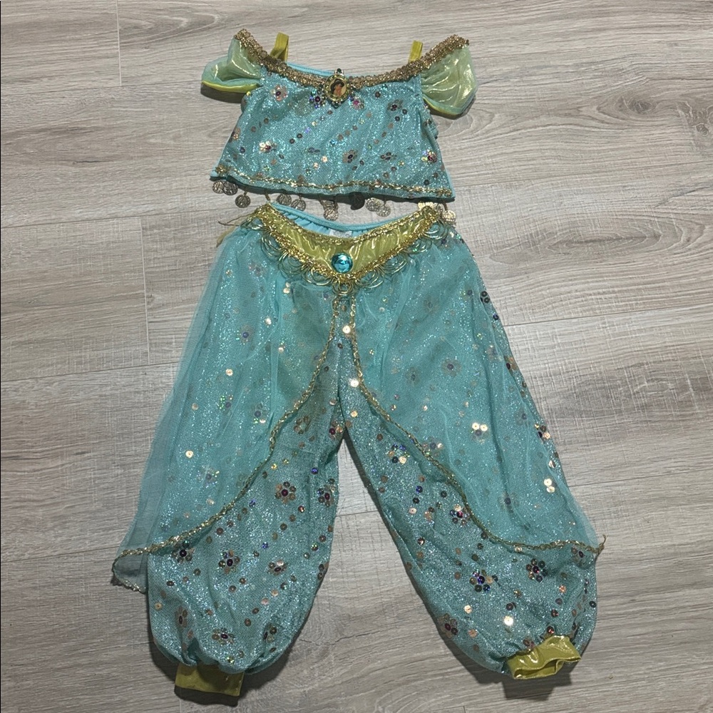 DisneyLand resort Princess Jasmine Costume